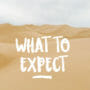 What to expect at Imperial Sand Dunes