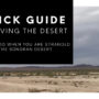 Quick Guide to Survive the Yuma Desert